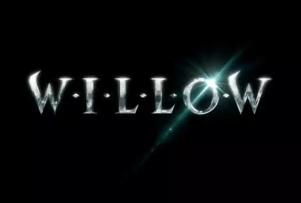 Willow-Logo-600x405  