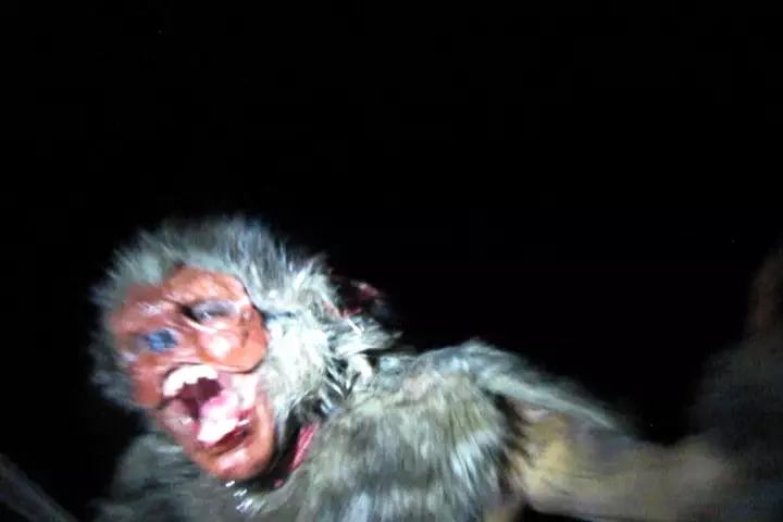 We Found Something in trailer for found footage creature horror