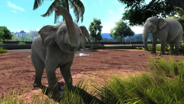 fail Menşei Kötü niyetli  Zoo Tycoon: Ultimate Animal Collection coming to the Xbox One family and PC  this October