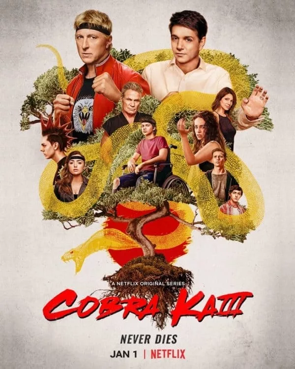 Cobra Kai (Season 1), The Karate Kid Wiki