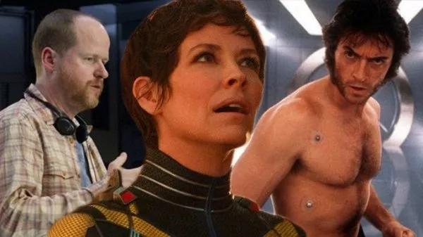 Ant-Man star Evangeline Lilly turned down two superhero roles