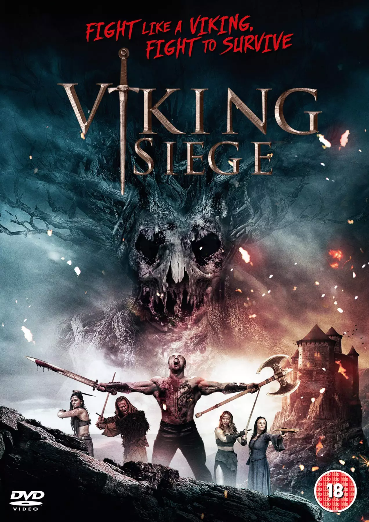 DVD Review - Viking Siege (2017)