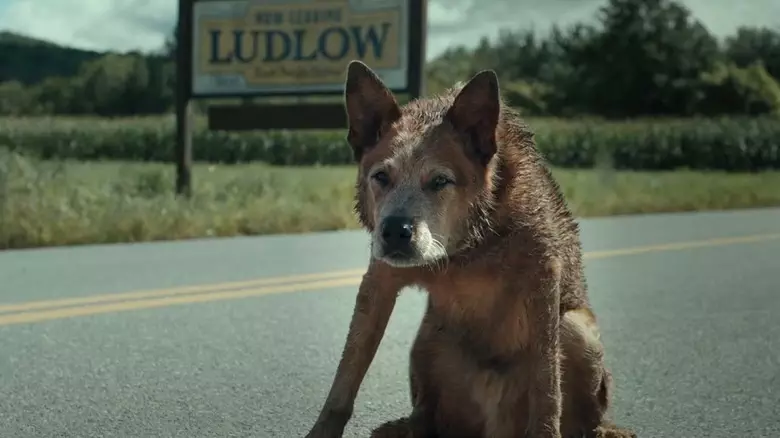 Pet Sematary: Bloodlines (2023) - Movie Review