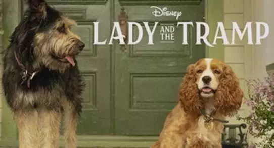 First look at Disney's live-action Lady and the Tramp